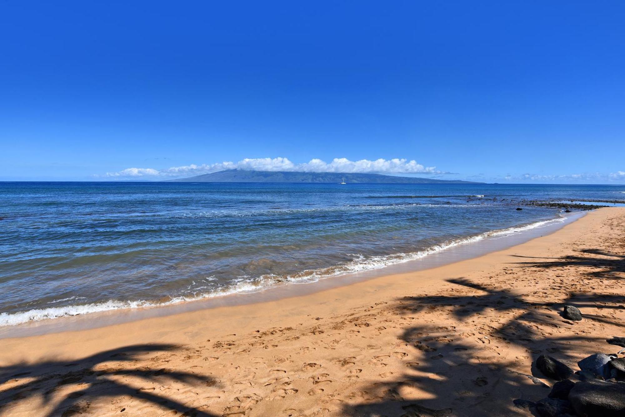 Kaanapali Shores 160 - Sleep Steps Away From The Ocean Кахана Экстерьер фото